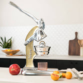 Mexican Citrus Juicer